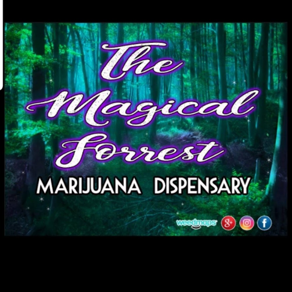 The Magical Forrest Marijuana Dispensary